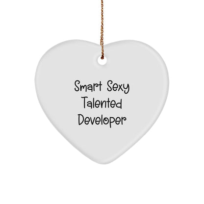 Smart Sexy Talented Developer Gifts, Heart Ornament with Funny Quote, Christmas Unique Gifts from Friends, Gifts for Developer