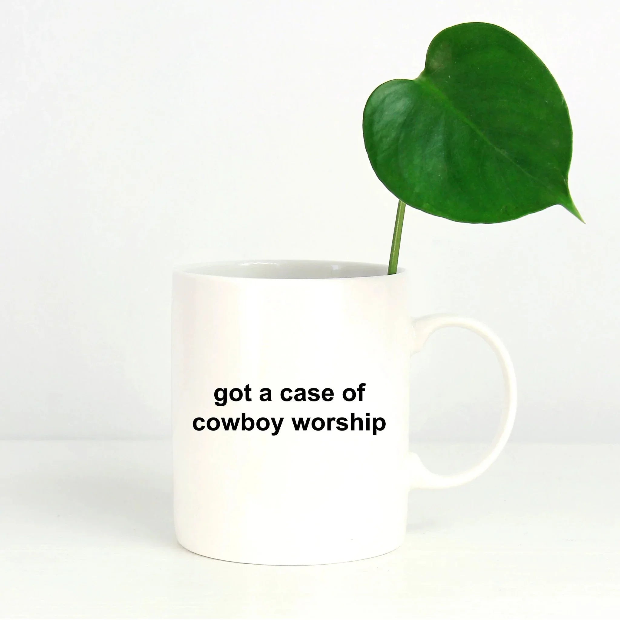 Cowboy Coffee Mug - Got a Case of Cowboy Worship