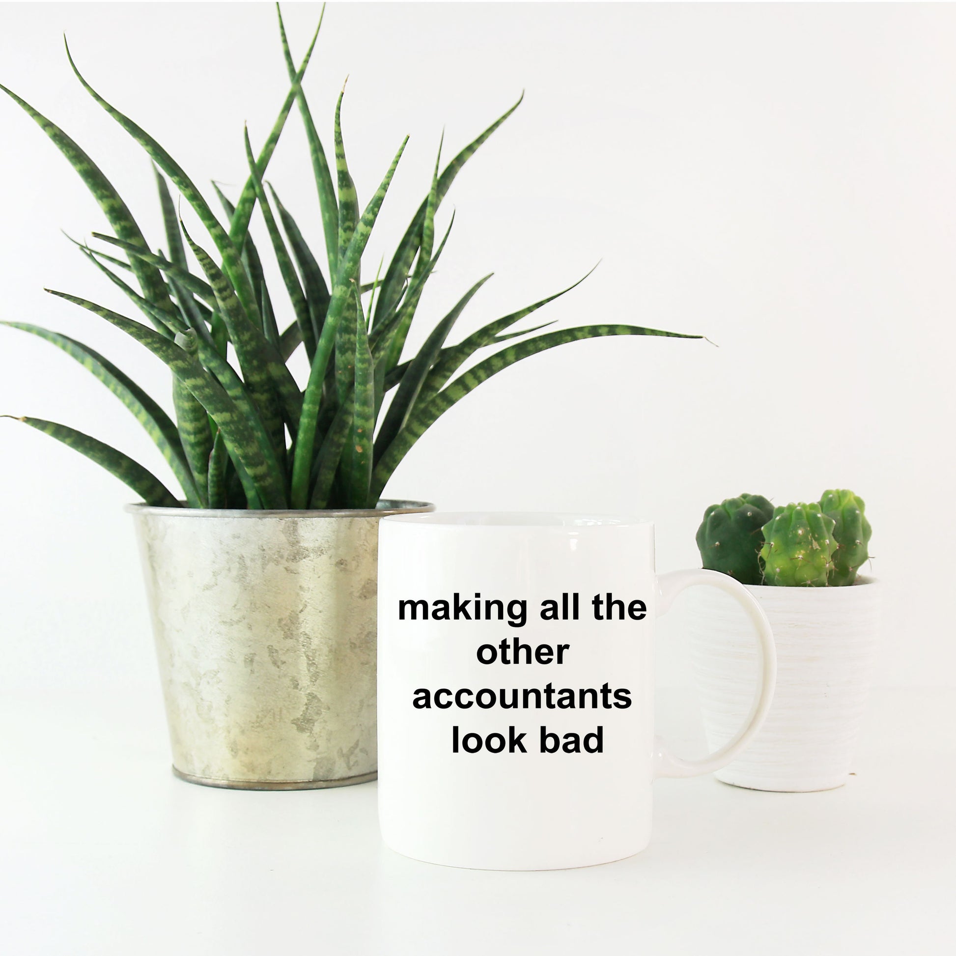 Funny Accountant Mug - Making All the Other Accountants Look Bad - Mallard Moon Gift Shop