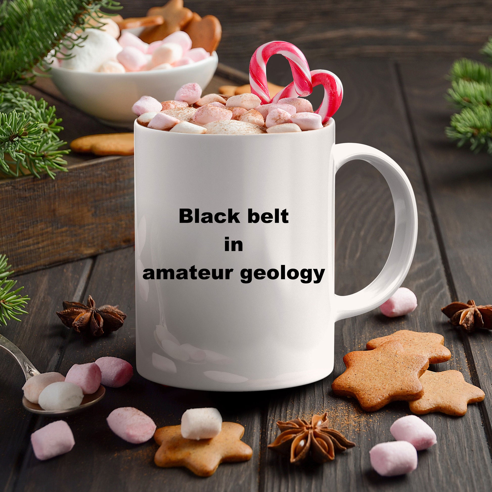 Amateur geology funny coffee mug - Mallard Moon Gift Shop