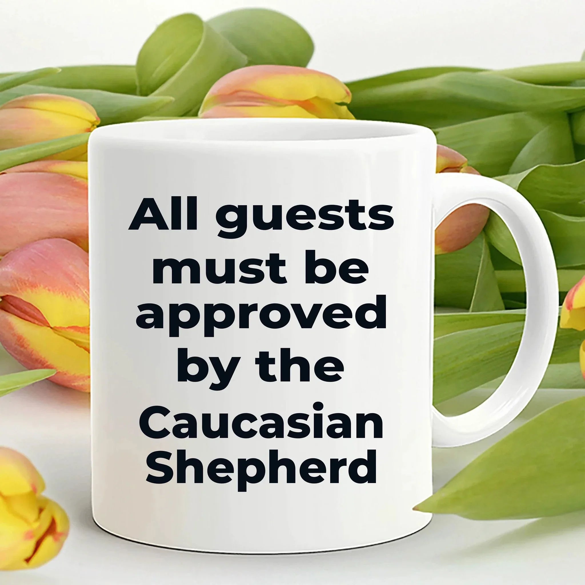Caucasian Shepherd Funny Dog Coffee Mug - All guests must be approved by the Caucasian Shepherd