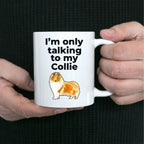 Funny Collie Dog Mug - I'm only talking to my Collie