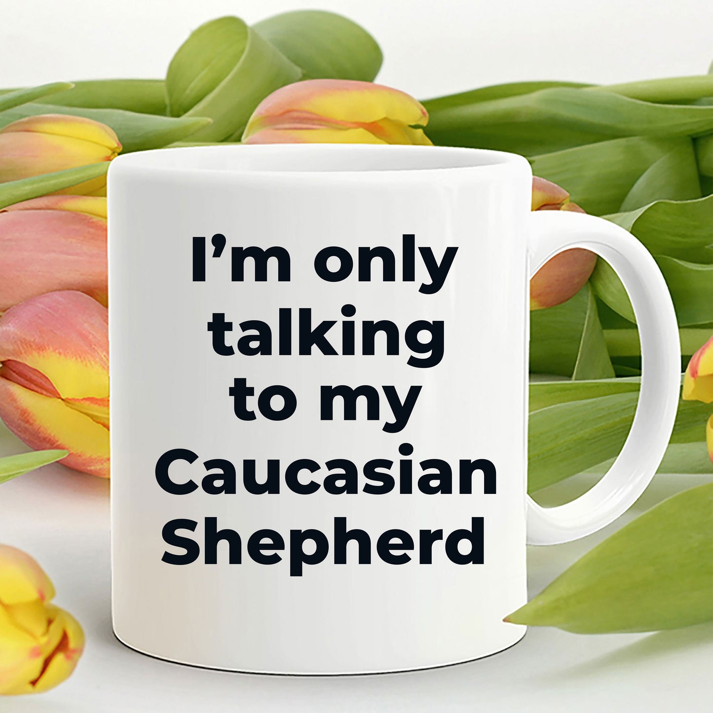 Caucasian Shepherd Dog Funny Coffee Mug - I'm  only talking to my Caucasian Shepherd - Mallard Moon Gift Shop