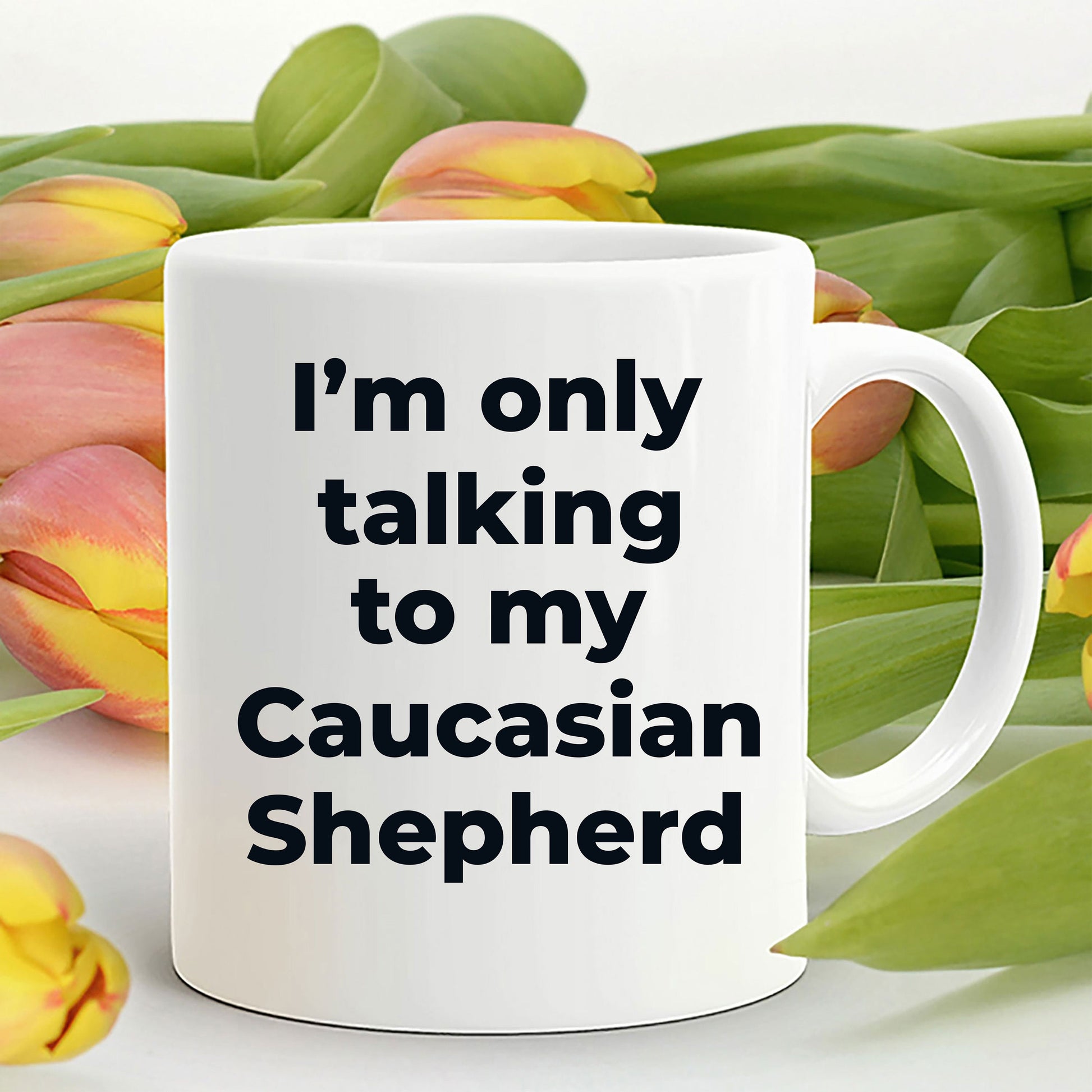 Caucasian Shepherd Dog Funny Coffee Mug - I'm  only talking to my Caucasian Shepherd - Mallard Moon Gift Shop