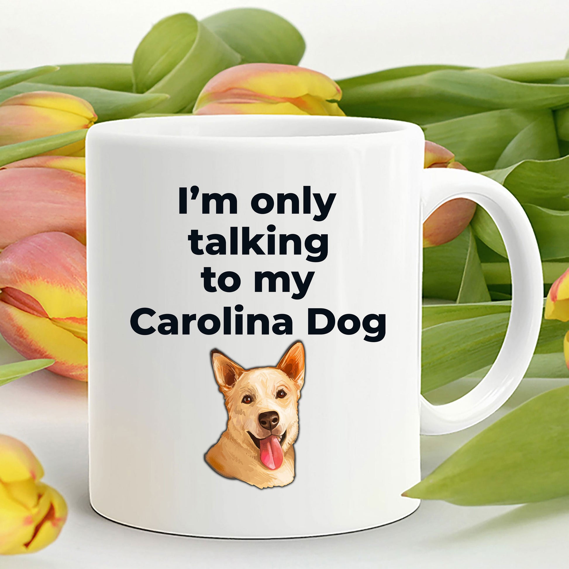 Carolina Dog Funny Coffee Mug white and two tone color - I'm only talking to my Carolina Dog - Mallard Moon Gift Shop