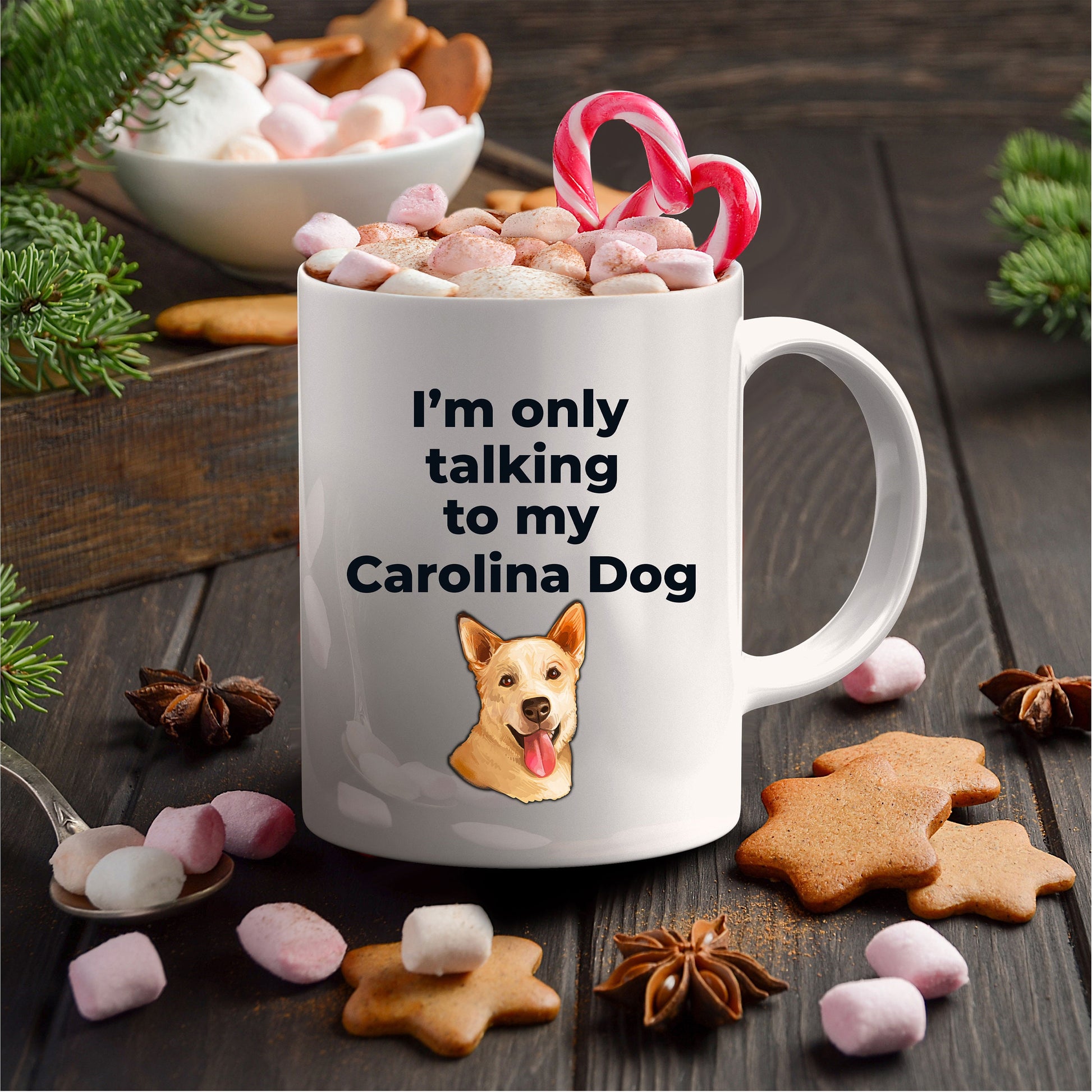 Carolina Dog Funny Coffee Mug white and two tone color - I'm only talking to my Carolina Dog - Mallard Moon Gift Shop