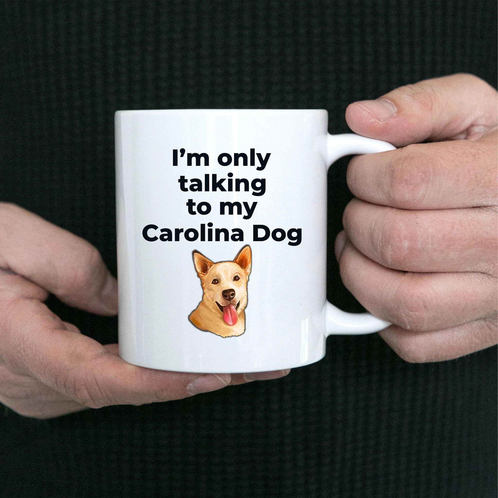 Carolina Dog Funny Coffee Mug white and two tone color - I'm only talking to my Carolina Dog