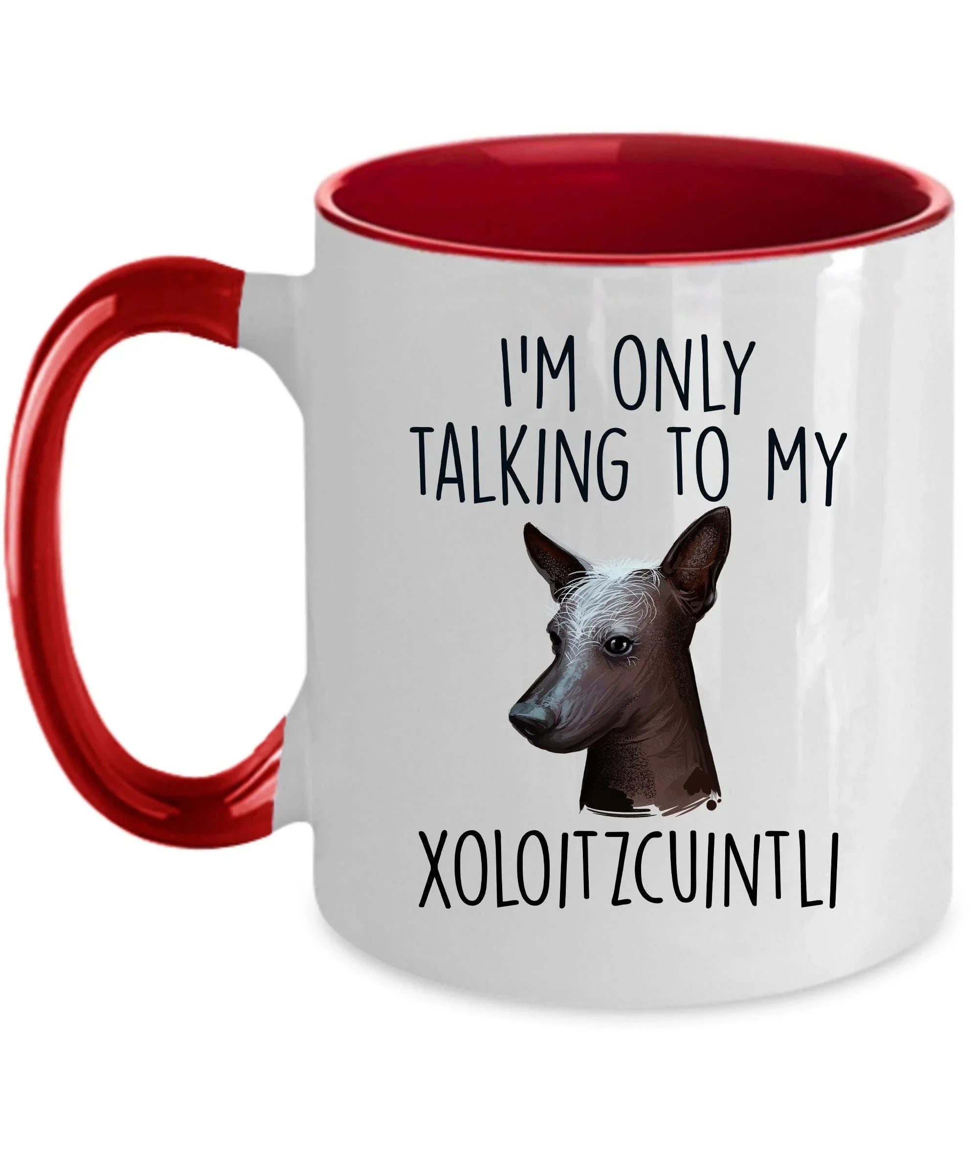 Funny Dog Custom Coffee Mug - I'm Only Talking to my Xoloitzcuintli