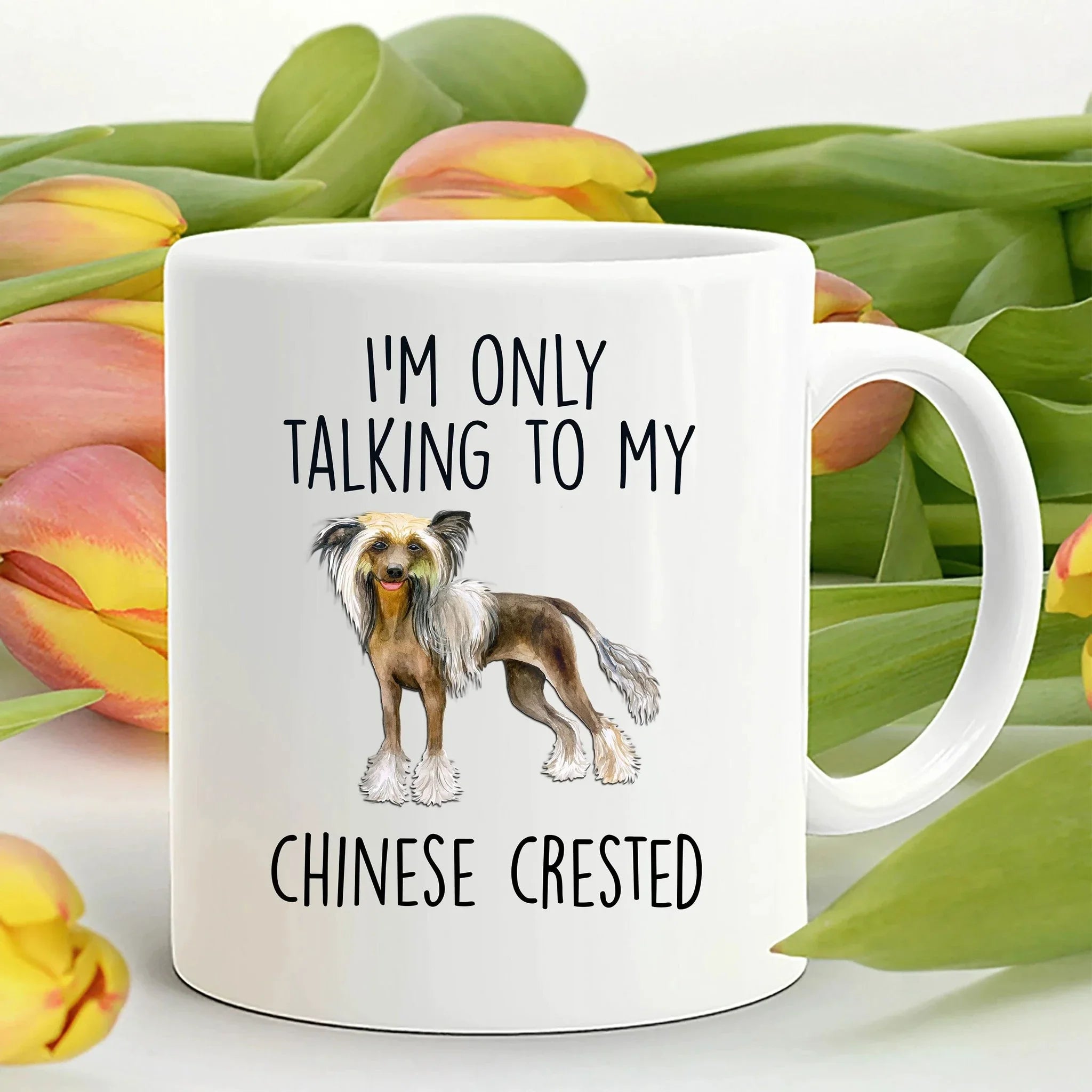 Chinese Crested Dog Lover Funny Ceramic Coffee Mug - I'm only talking to my Chinese Crested