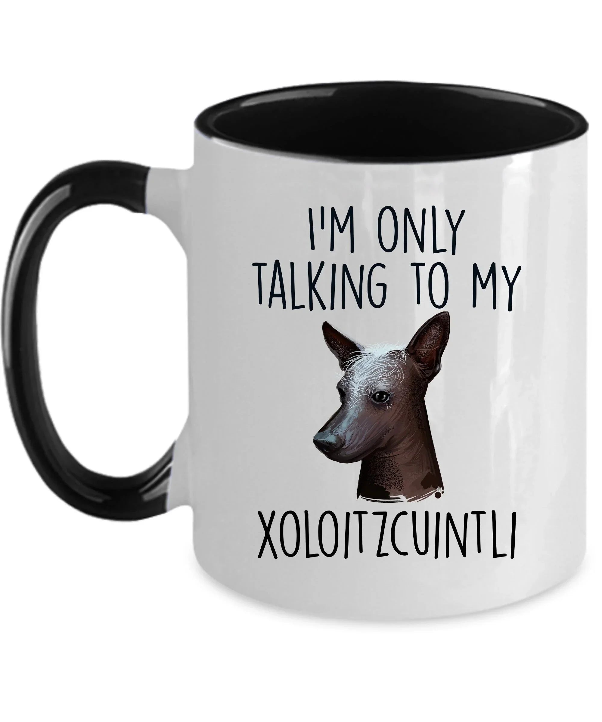 Funny Dog Custom Coffee Mug - I'm Only Talking to my Xoloitzcuintli