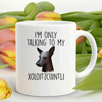 Funny Dog Custom Coffee Mug - I'm Only Talking to my Xoloitzcuintli