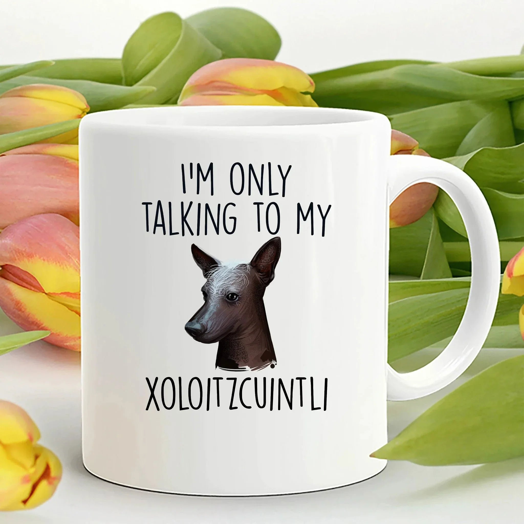 Funny Dog Custom Coffee Mug - I'm Only Talking to my Xoloitzcuintli