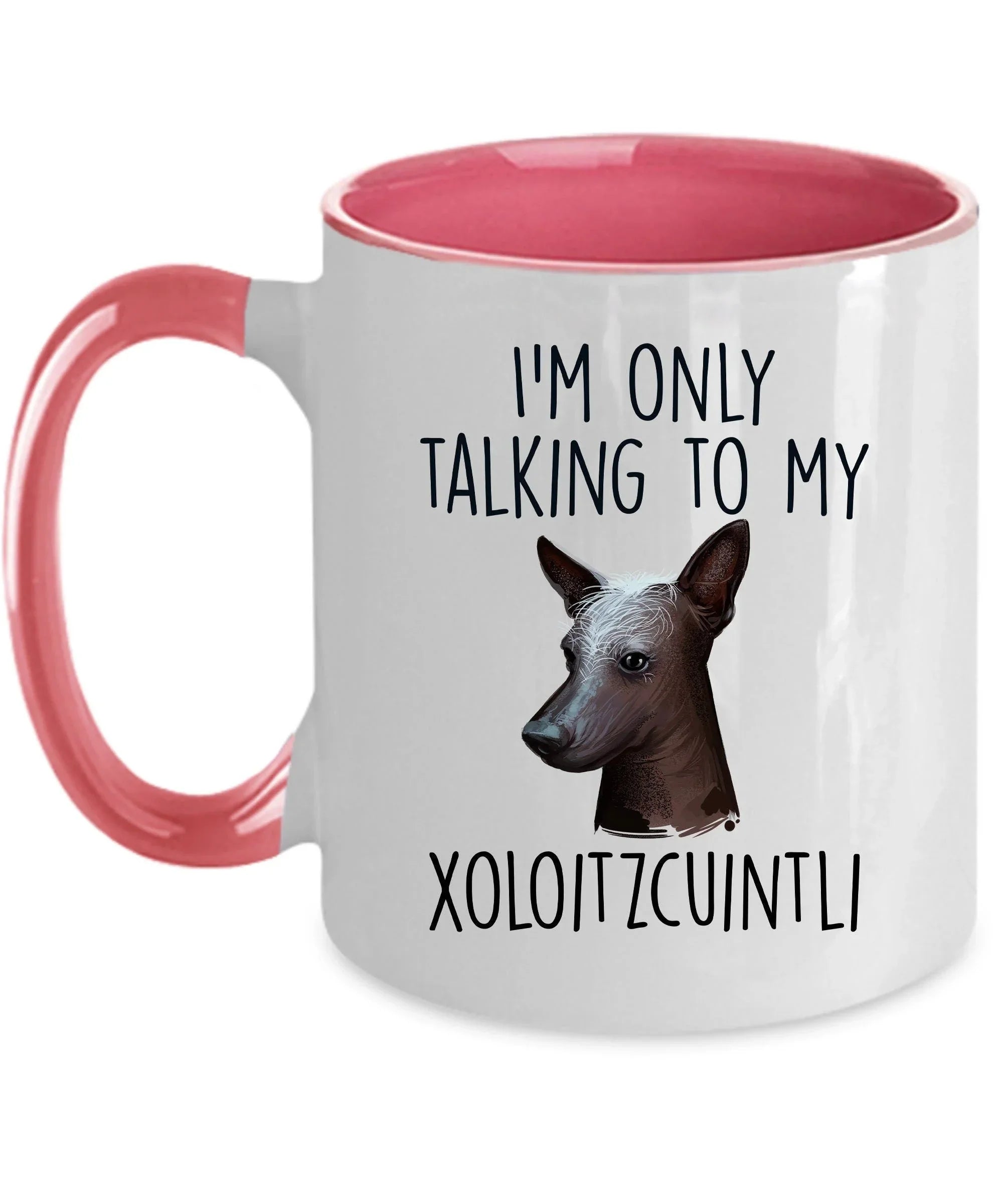 Funny Dog Custom Coffee Mug - I'm Only Talking to my Xoloitzcuintli
