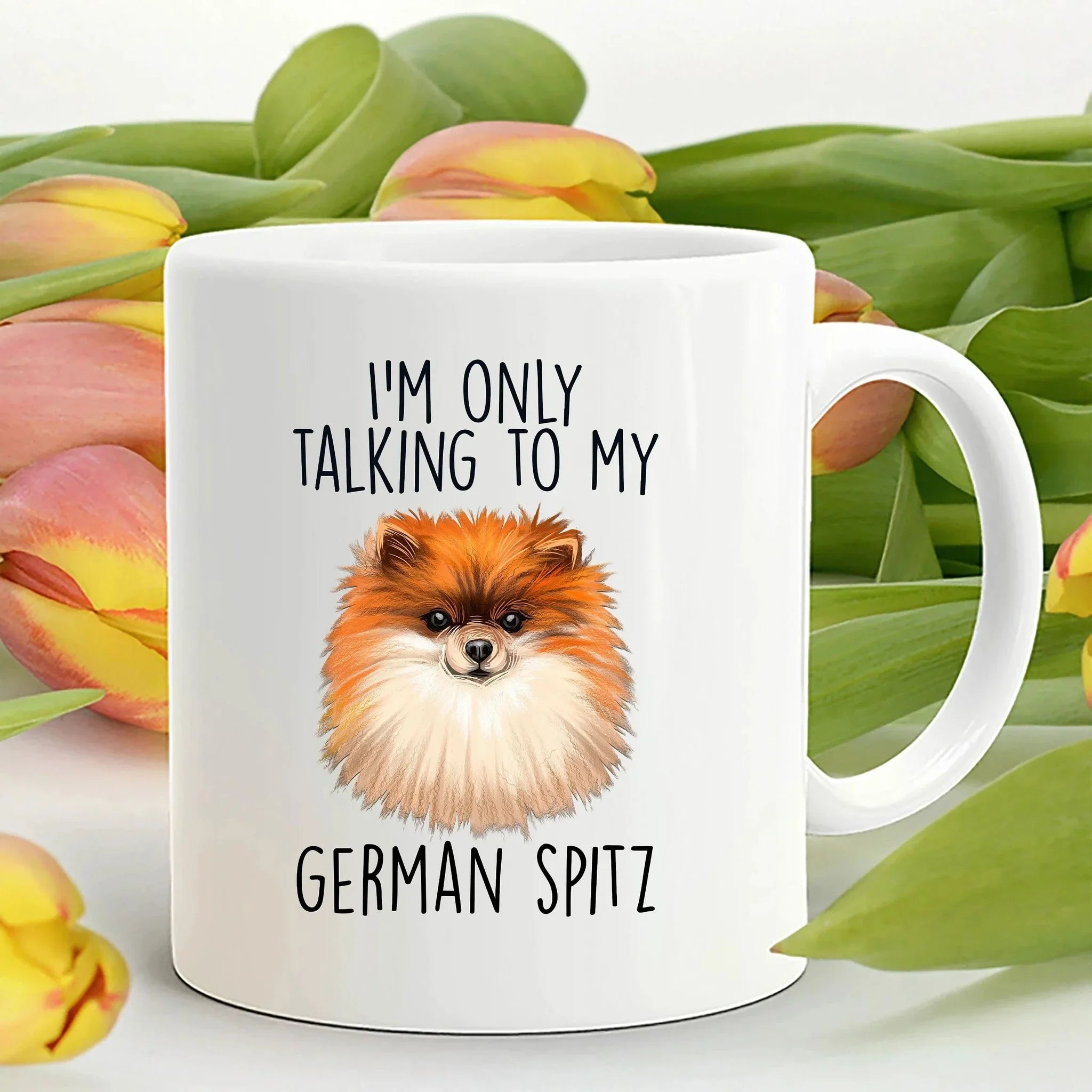 German Spitz Funny Ceramic Mug - I'm Only Talking to My Dog