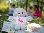 Love You to the Moon and Back - Plush Lamb, Panda, or Teddy Bear with Tee Shirt Romantic Gift for Sweetheart