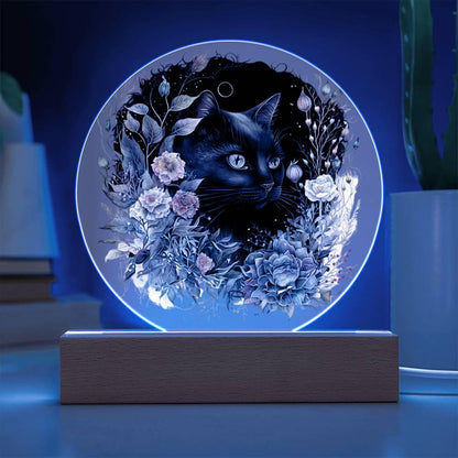 Moonlit Mystery: Black Cat Acrylic Showcase - Mallard Moon Gift Shop