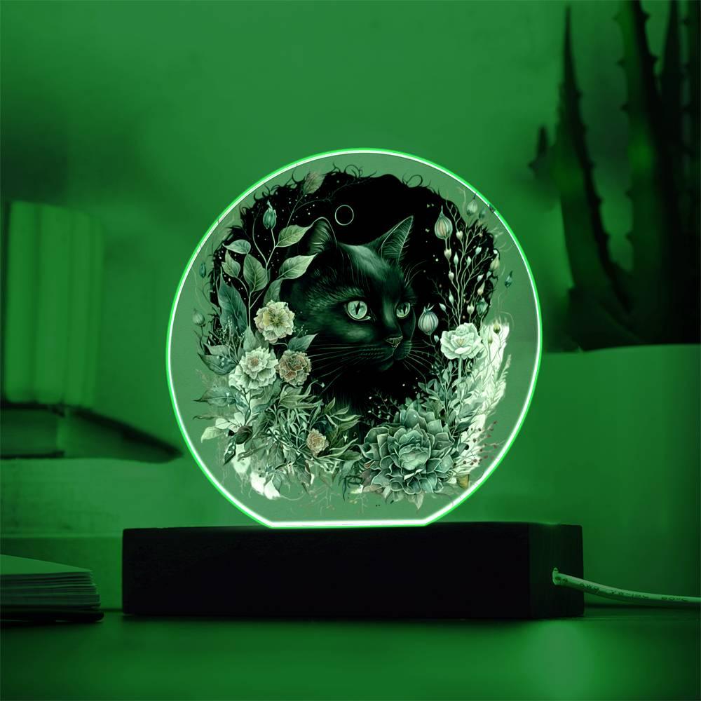 Moonlit Mystery: Black Cat Acrylic Showcase - Mallard Moon Gift Shop