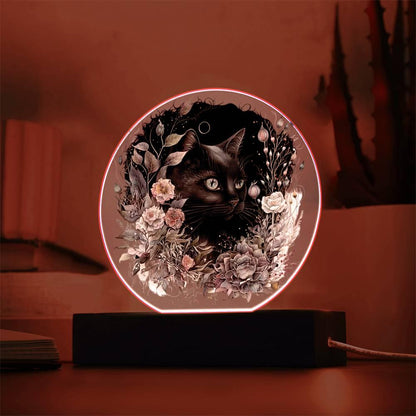 Moonlit Mystery: Black Cat Acrylic Showcase - Mallard Moon Gift Shop