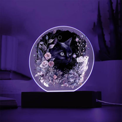 Moonlit Mystery: Black Cat Acrylic Showcase - Mallard Moon Gift Shop