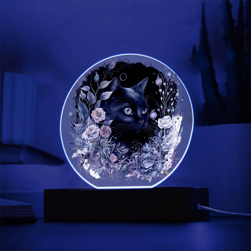 Moonlit Mystery: Black Cat Acrylic Showcase - Mallard Moon Gift Shop
