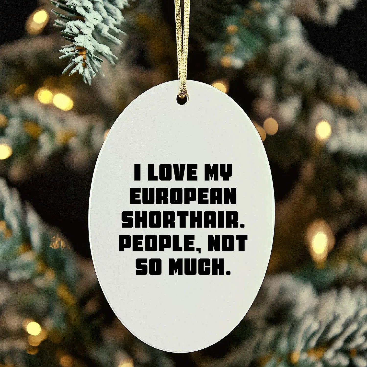 European Shorthair Cat Lover's Humorous Gift, 'I Love My European Shorthair. People, Not So Much.' Oval Ornament for Christmas