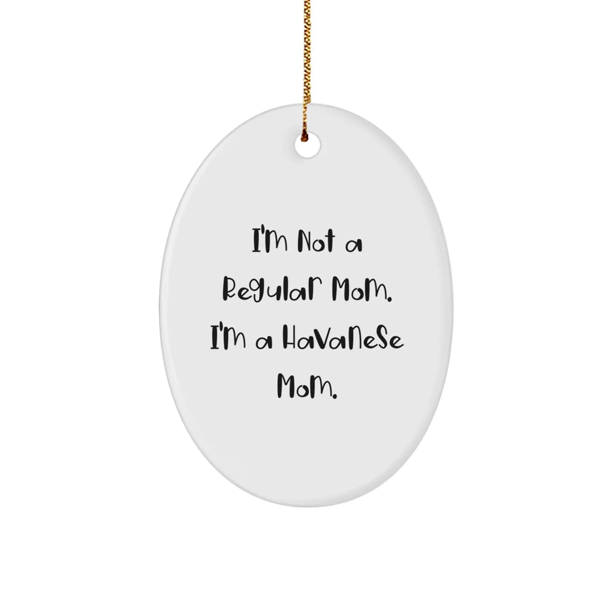 Funny Havanese Dog Mom Oval Ornament Gifts from Family at Christmas