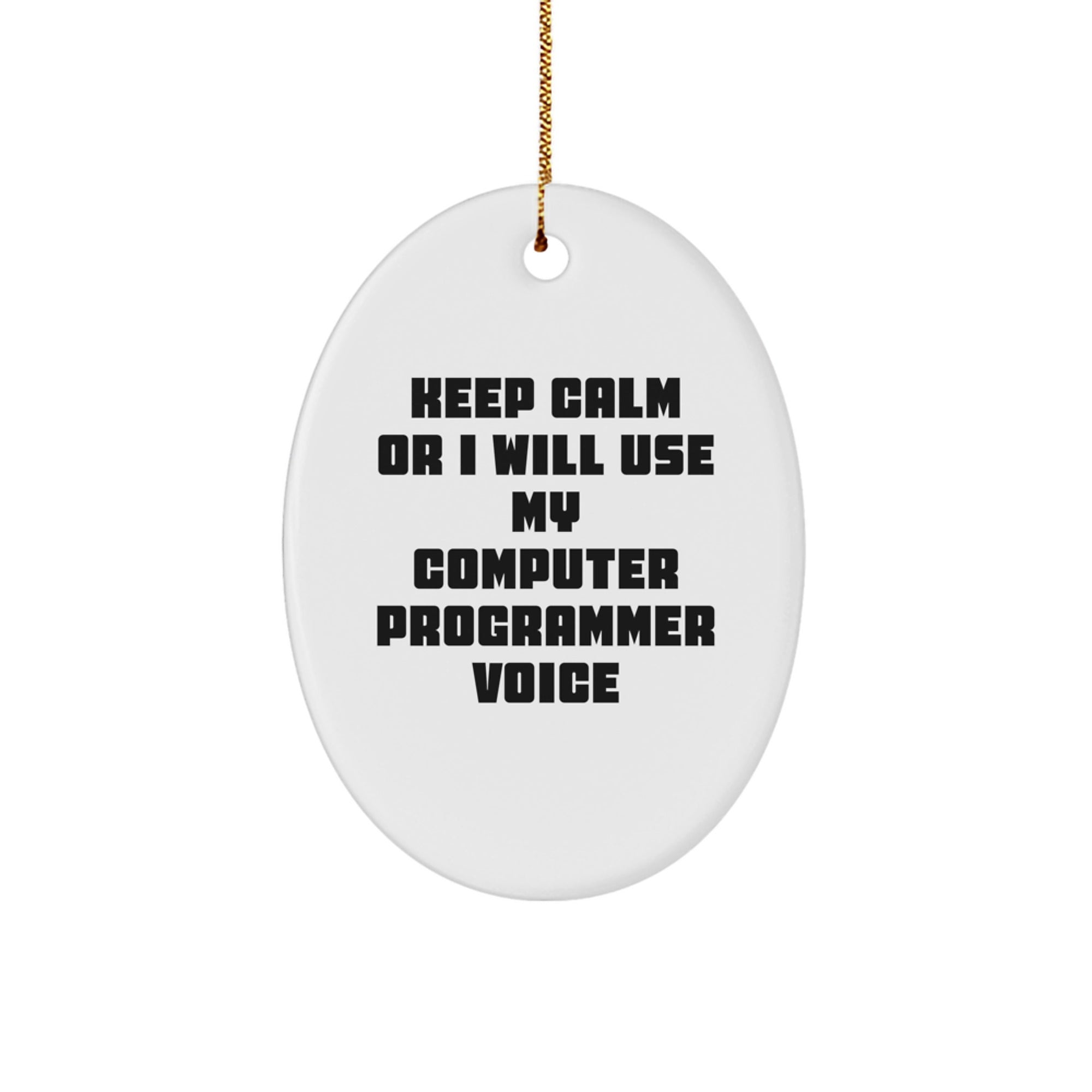 Funny Computer Programmer Oval Ornament Gifts from Friends to Men, Unique Christmas Decorations for Home Office Desk - Image 1