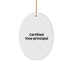 Funny Vice-principal Gifts from Men, Gifts for Vice-principal on Christmas Unique Gifts