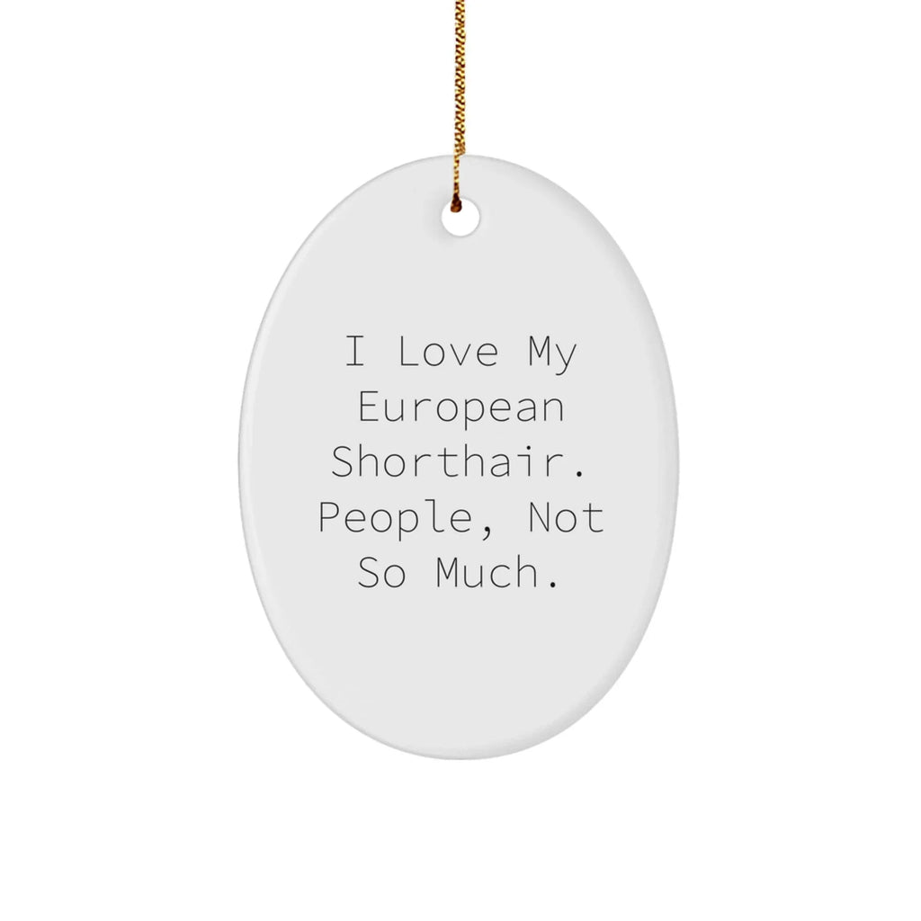 European Shorthair Cat Lovers' Humorous Oval Ornament Gifts from Friends, Family, and Coworkers
