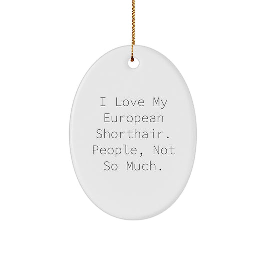 European Shorthair Cat Lovers' Humorous Oval Ornament Gifts from Friends, Family, and Coworkers - Image 1