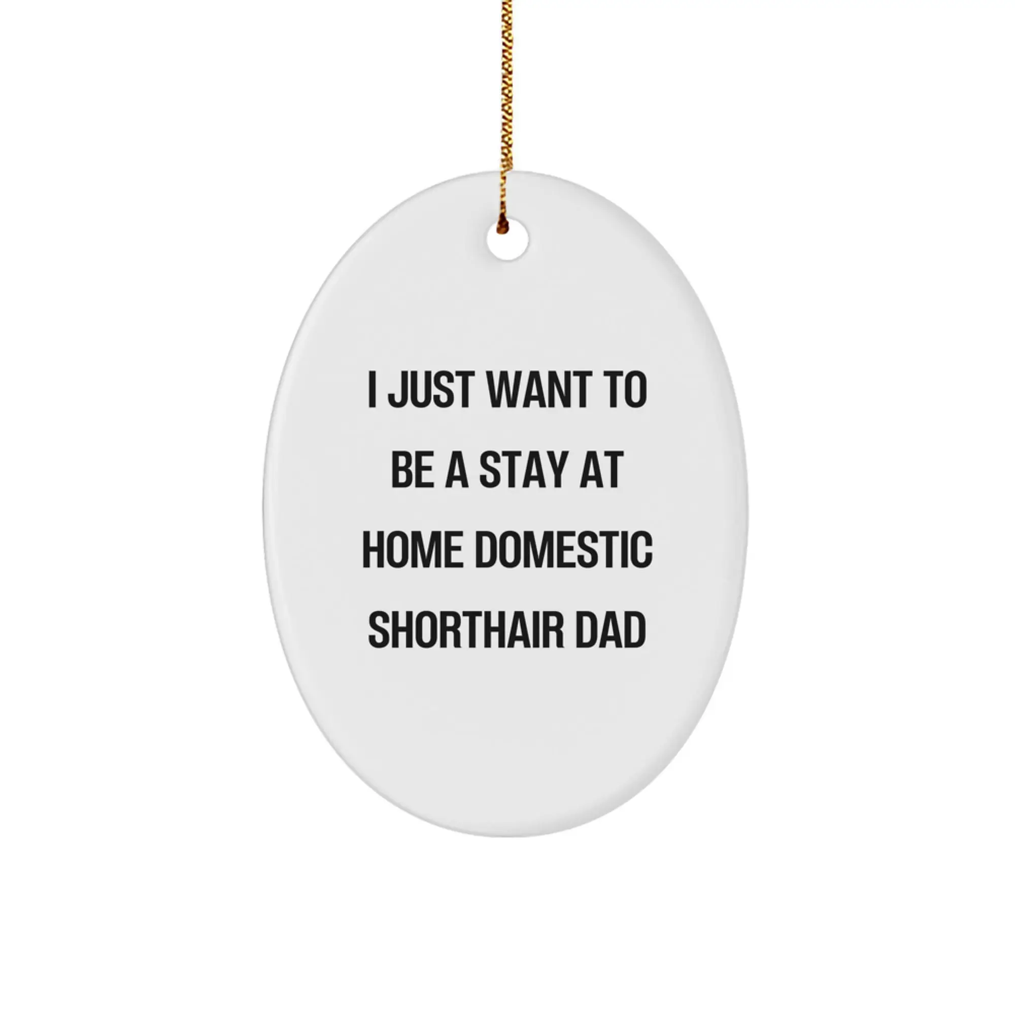Funny Domestic Shorthair Cat Dad Gifts from Men for Christmas Unique Oval Ornament, Stay at Home Quotes - Image 1