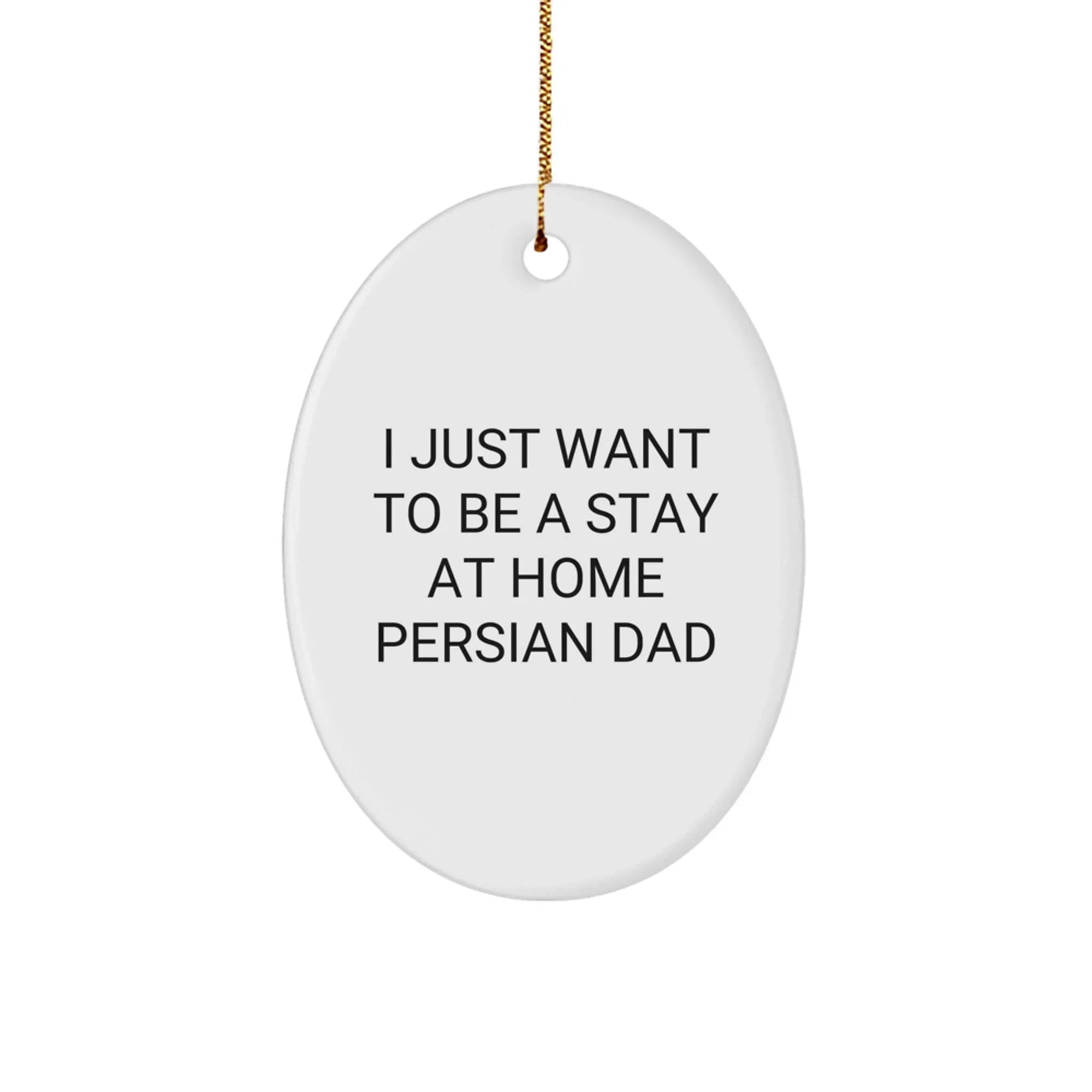 Funny Persian Cat Oval Ornament Gifts from Men to Family for Christmas