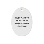 Funny Scottish Fold Cat Gifts - I Just Want To Be A Stay At Home Scottish Fold Dad Oval Ornament for Christmas
