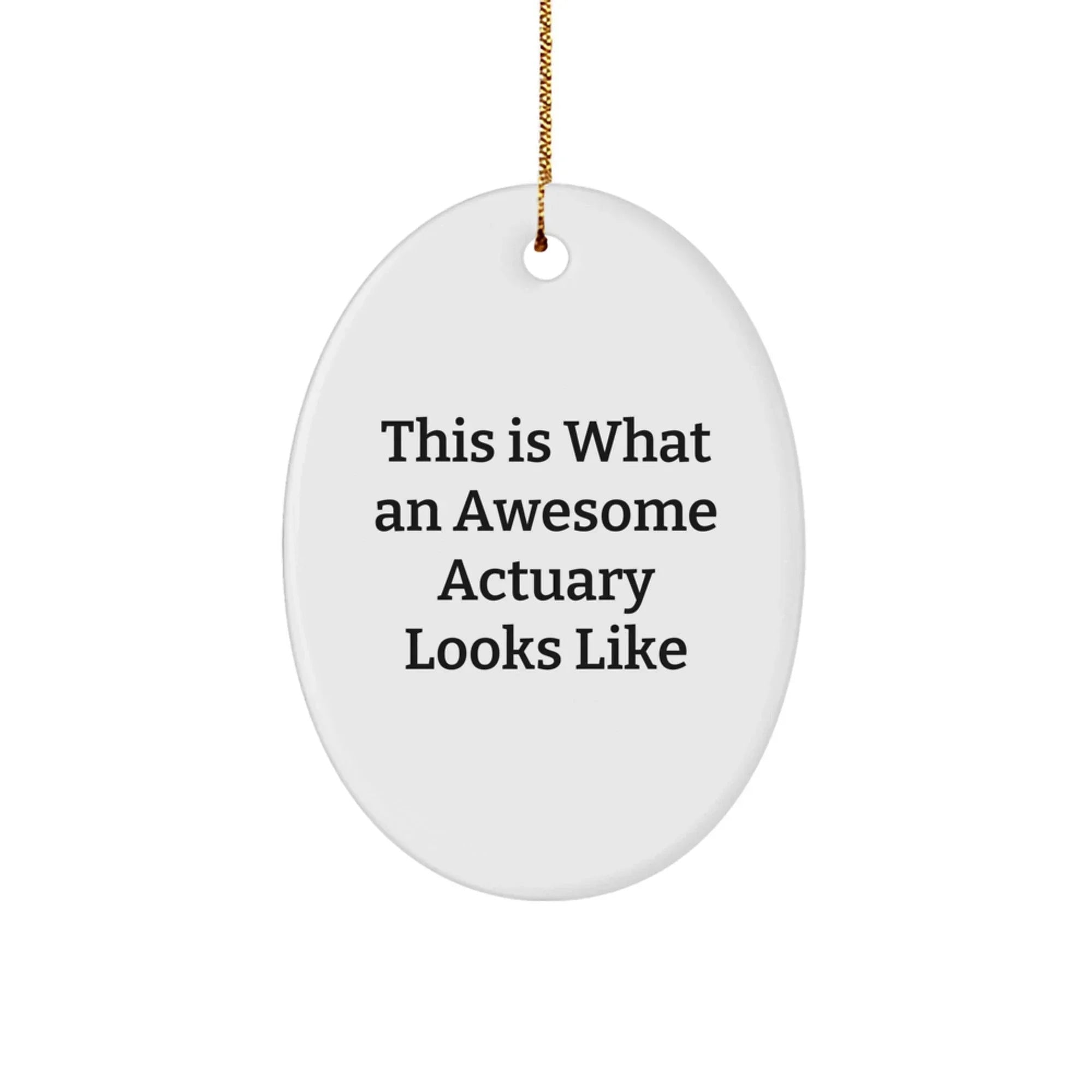 Funny Actuary Gifts - Gifts from Friends to Awesome Actuaries - Oval Ornament This Is What An Awesome Actuary Looks Like Christmas