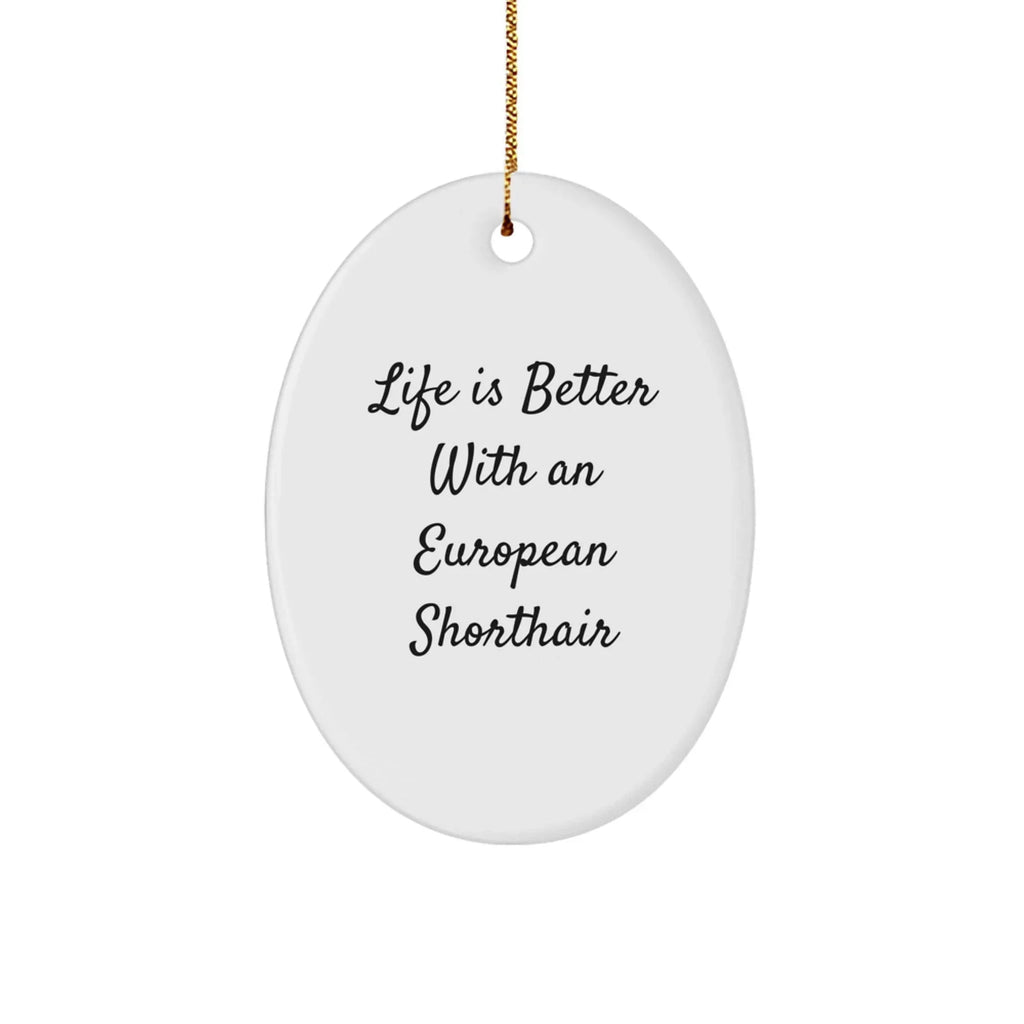 European Shorthair Cat Lover Gifts from Men, Unique Christmas Memorable Presents for European Shorthair Cat Owners, Oval Ornament with Funny Quote