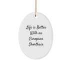 European Shorthair Cat Lover Gifts from Men, Unique Christmas Memorable Presents for European Shorthair Cat Owners, Oval Ornament with Funny Quote