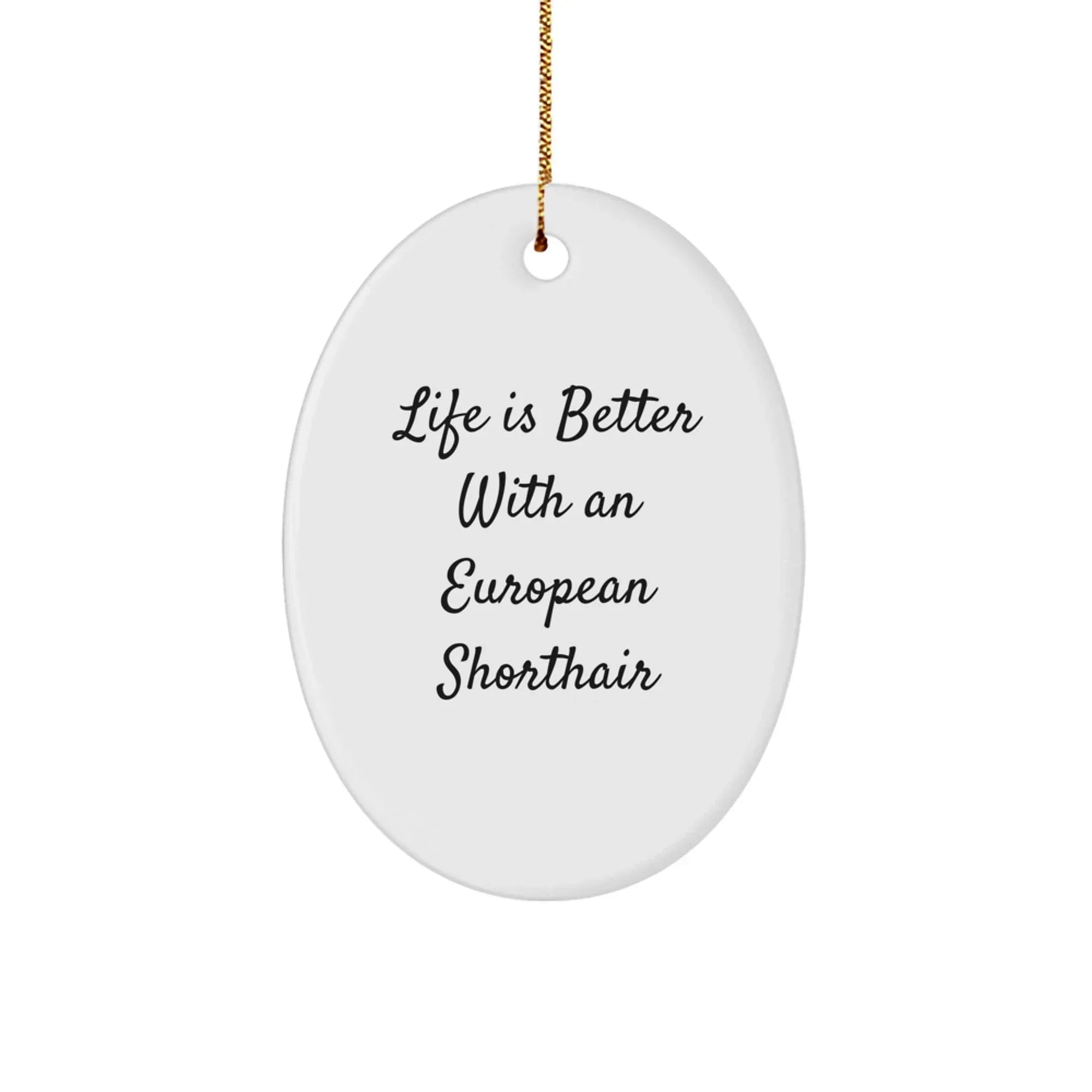 European Shorthair Cat Lover Gifts from Men, Unique Christmas Memorable Presents for European Shorthair Cat Owners, Oval Ornament with Funny Quote