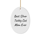 Funny Silver Tabby Cat Mom Gifts from Men to Women Oval Christmas Ornaments for Home Decor