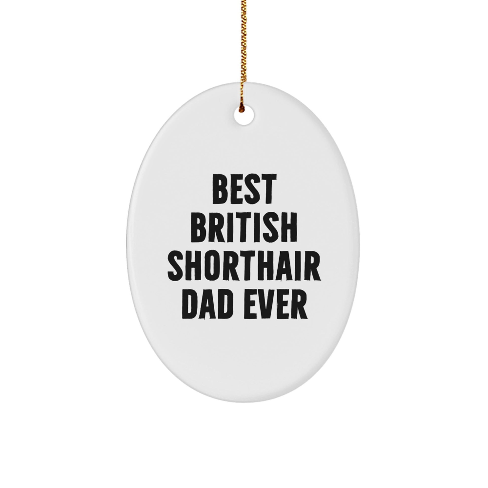 British Shorthair Cat Dad Ever Oval Ornament, Funny Gift from Friends to British Shorthair Cat, Christmas Unique Gifts - Image 1