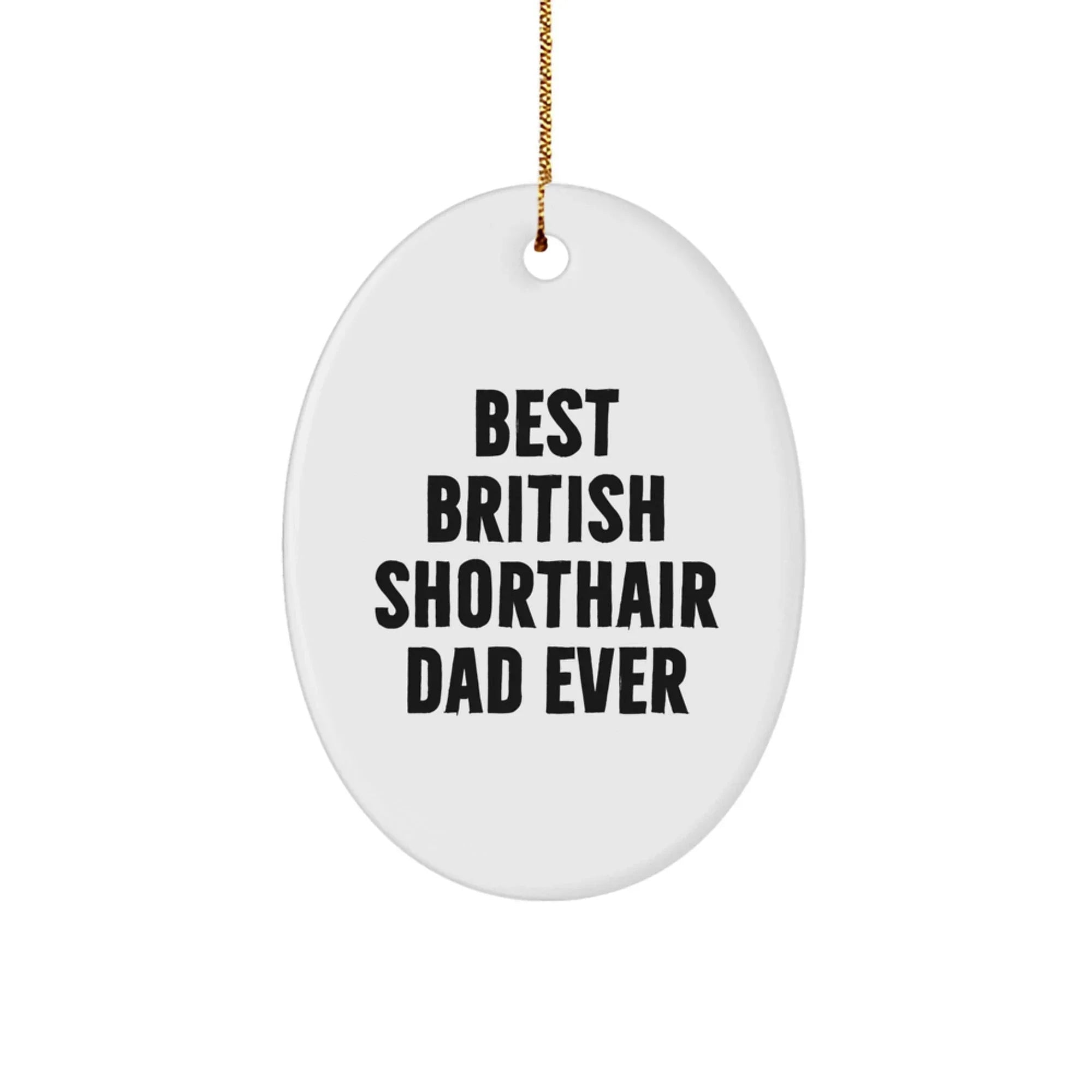 British Shorthair Cat Dad Ever Oval Ornament, Funny Gift from Friends to British Shorthair Cat, Christmas Unique Gifts