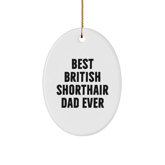 British Shorthair Cat Dad Ever Oval Ornament, Funny Gift from Friends to British Shorthair Cat, Christmas Unique Gifts - Image 1