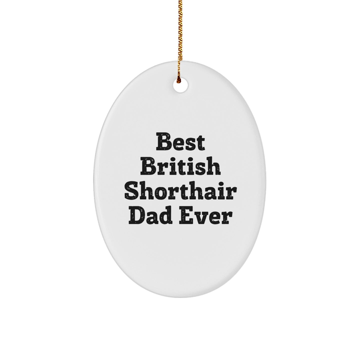 British Shorthair Cat Lover's Christmas Unique Gift, Funny Quote Oval Ornament, Gifts from Friends for British Shorthair Cat, Oval Shaped Decor - Image 1