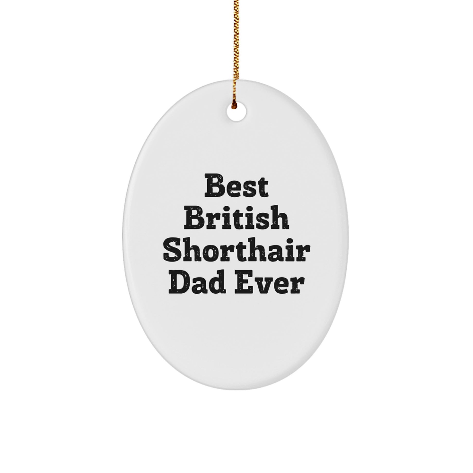 British Shorthair Cat Lover's Christmas Unique Gift, Funny Quote Oval Ornament, Gifts from Friends for British Shorthair Cat, Oval Shaped Decor - Image 1