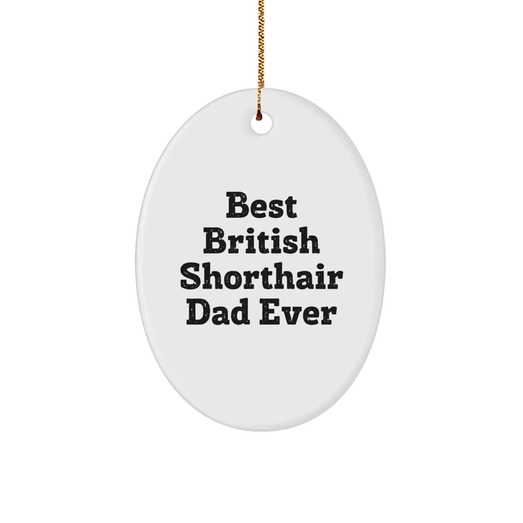 British Shorthair Cat Lover's Christmas Unique Gift, Funny Quote Oval Ornament, Gifts from Friends for British Shorthair Cat, Oval Shaped Decor