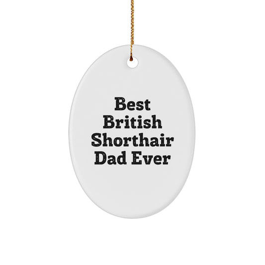 British Shorthair Cat Lover's Christmas Unique Gift, Funny Quote Oval Ornament, Gifts from Friends for British Shorthair Cat, Oval Shaped Decor - Image 1