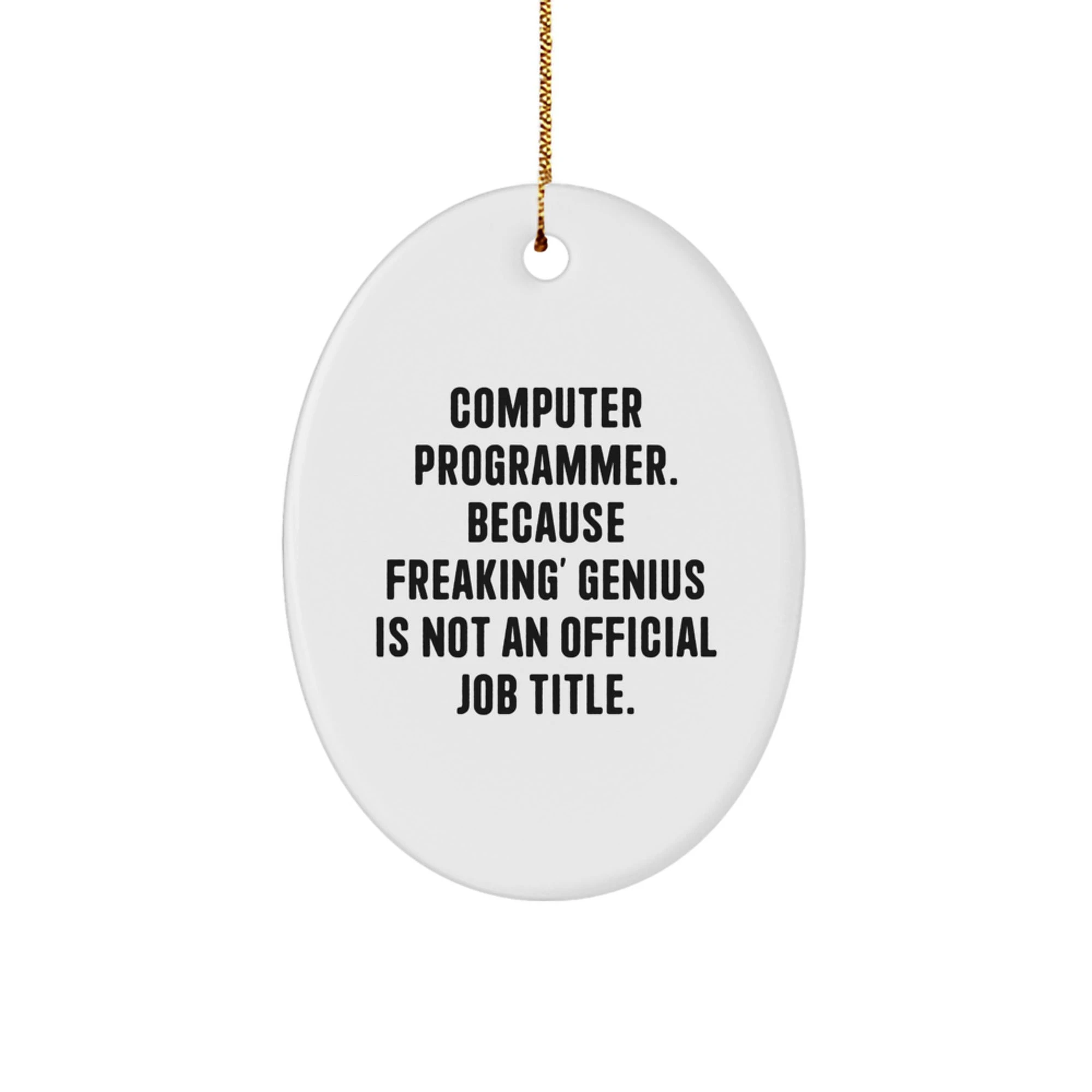 Funny Computer Programmer Oval Ornament Gifts for Men from Friends, Christmas Unique Decorations