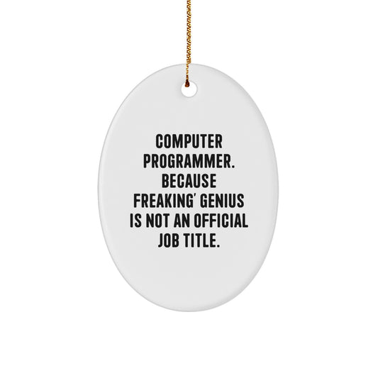 Funny Computer Programmer Oval Ornament Gifts for Men from Friends, Christmas Unique Decorations - Image 1