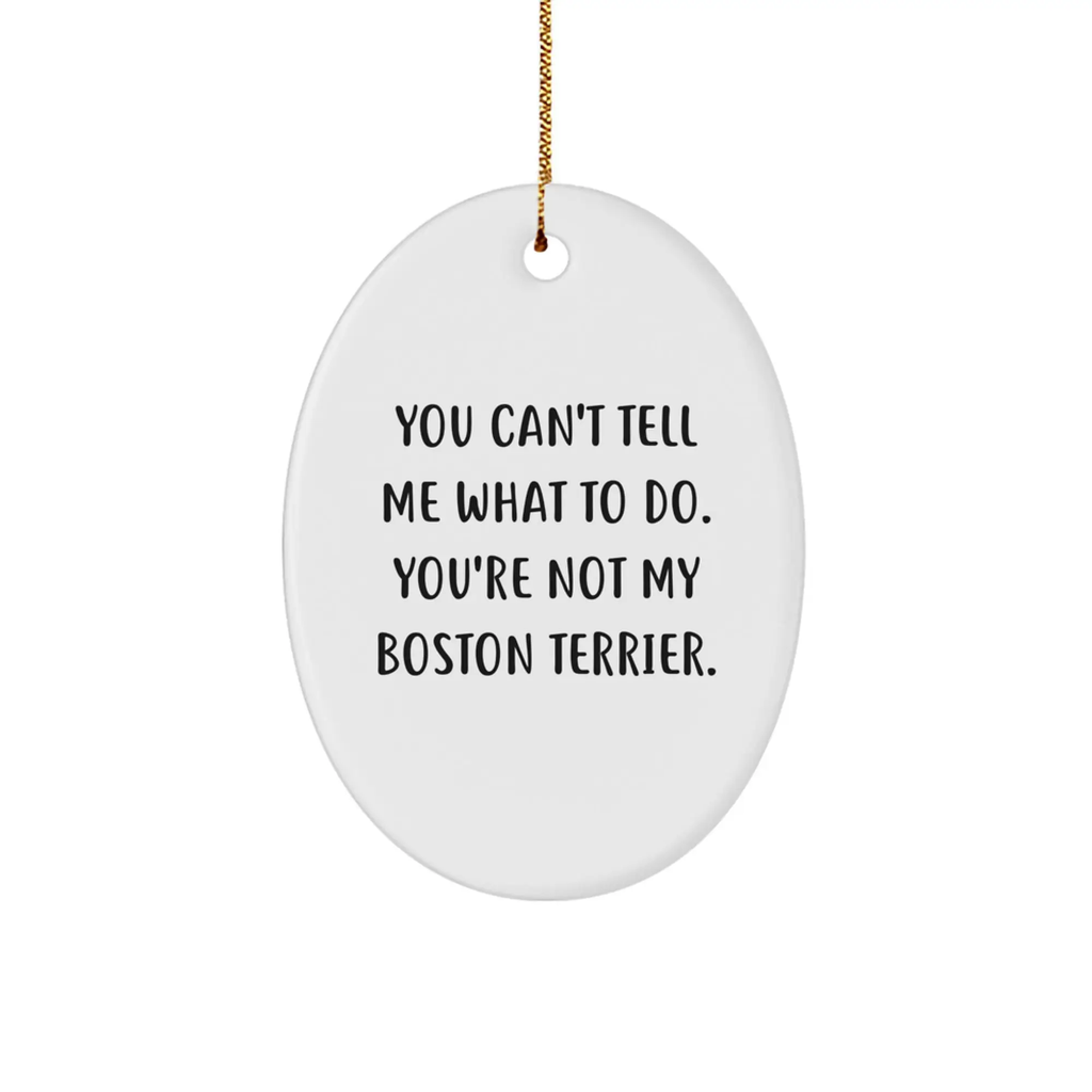Funny Boston Terrier Dog Christmas Oval Ornament Gifts for Men from Friends - Image 1