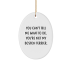 Funny Boston Terrier Dog Christmas Oval Ornament Gifts for Men from Friends - Image 1