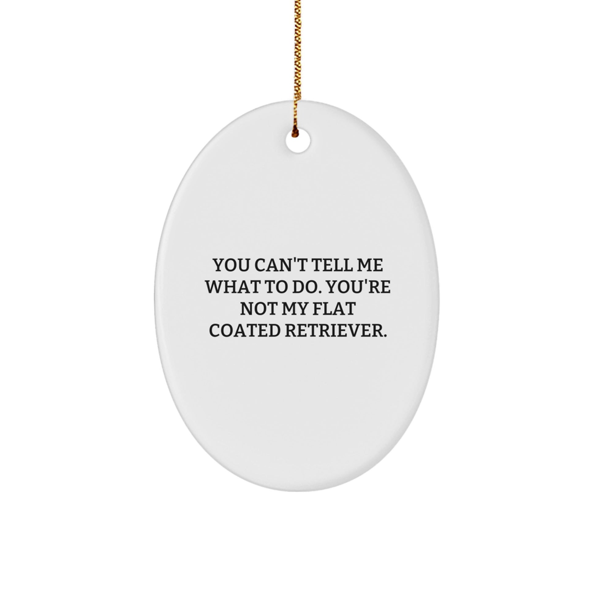 Flat Coated Retriever Dog Gifts Funny Oval Ornament from Friends for Christmas